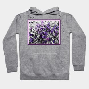 Purple Berries Hoodie